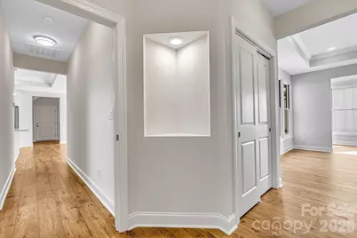 243 Alenda Lux Circle, Mooresville, NC 28115 - Photo 18