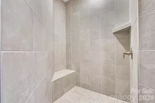 243 Alenda Lux Cir, Mooresville, NC 28115 - Photo 30