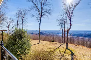 11 By The Wayside Dr, Columbus, NC 28722 - Photo 44