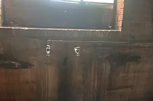 2870 Rutherford College Rd, Connelly Springs, NC 28612 - Photo 12