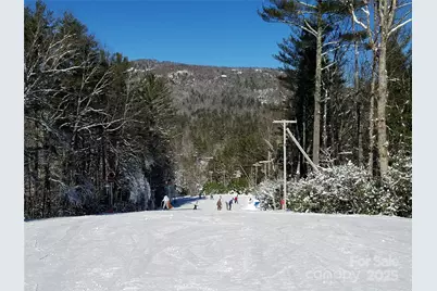 71 Raptor Way, Sapphire, NC 28774 - Photo 46