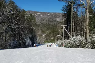 71 Raptor Wy, Sapphire, NC 28774 - Photo 46