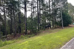 560 Hester Mill Rd, Rutherfordton, NC 28139 - Photo 30