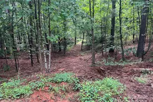 560 Hester Mill Rd, Rutherfordton, NC 28139 - Photo 20