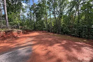 560 Hester Mill Rd, Rutherfordton, NC 28139 - Photo 38