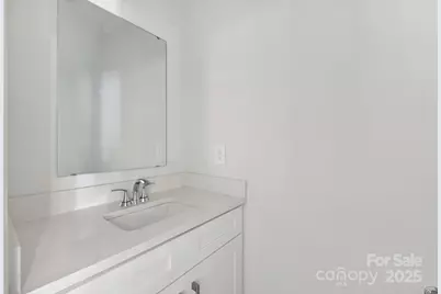 234 Tiger Lily Drive, Fort Mill, SC 29708 - Photo 6