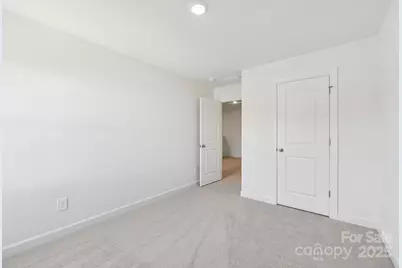 234 Tiger Lily Drive, Fort Mill, SC 29708 - Photo 10