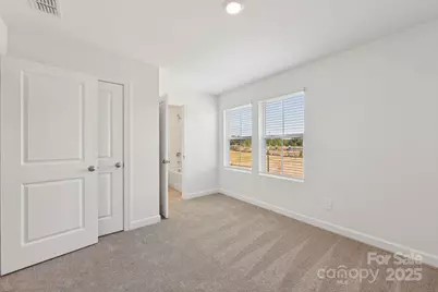 230 Tiger Lily Drive, Fort Mill, SC 29708 - Photo 20