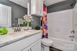 1024 Bear Creek Rd, Leicester, NC 28748 - Photo 18