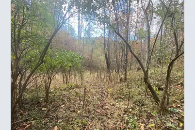 23 Lana Lane, Burnsville, NC 28714 - Photo 30