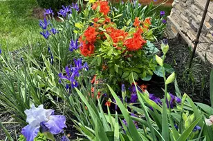 194 T R Harris Dr, Shelby, NC 28150 - Photo 4