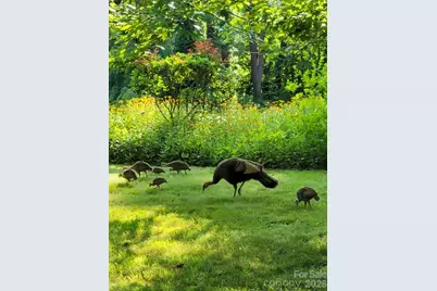 75 Cisco Road, Asheville, NC 28805 - Photo 20