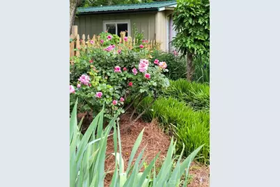 75 Cisco Road, Asheville, NC 28805 - Photo 8