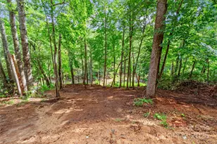 179 Heartland Ln, Burnsville, NC 28714 - Photo 4