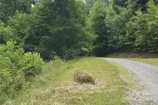 999 Red Wolf Run, Mars Hill, NC 28754 - Photo 8