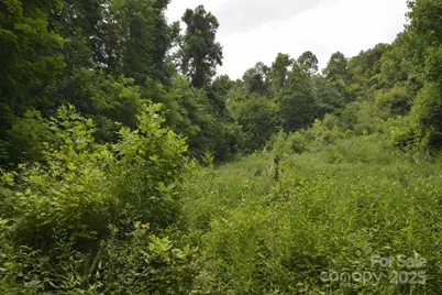 999 Red Wolf Run #48, Mars Hill, NC 28754 - Photo 10