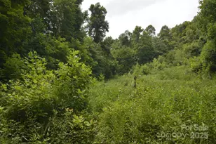 999 Red Wolf Run, Mars Hill, NC 28754 - Photo 10