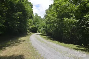 999 Red Wolf Run, Mars Hill, NC 28754 - Photo 6
