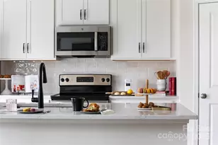 3041 Hutton Gdns Ln, Charlotte, NC 28269 - Photo 2