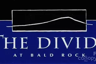 117 Speckled Feather Pass, Sapphire, NC 28774 - Photo 16