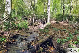 117 Speckled Feather Pass, Sapphire, NC 28774 - Photo 8