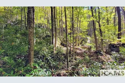 117 Speckled Feather Pass, Sapphire, NC 28774 - Photo 6