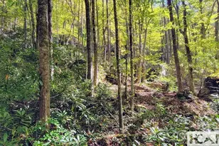 117 Speckled Feather Pass, Sapphire, NC 28774 - Photo 6