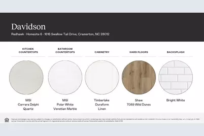 1616 Swallow Tail Drive, Belmont, NC 28012 - Photo 2