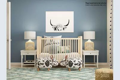 1616 Swallow Tail Drive, Belmont, NC 28012 - Photo 18