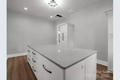 93 Chesterfield Drive, Mill Spring, NC 28756 - Photo 22