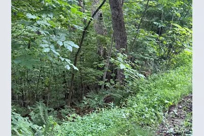 Lot 3 Heritage Ridge Loop #3/4, Burnsville, NC 28714 - Photo 4