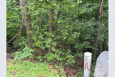 Lot 3 Heritage Ridge Loop #3/4, Burnsville, NC 28714 - Photo 6