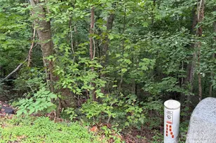 Lot 3 Heritage Ridge Loop, Burnsville, NC 28714 - Photo 6