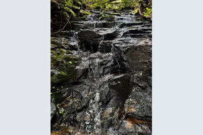 650 Golf Course Road, Columbus, NC 28722 - Photo 48