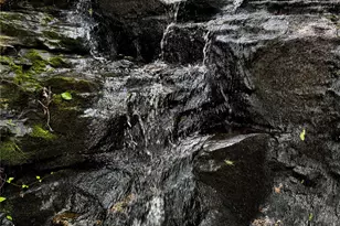 650 Golf Course Rd, Columbus, NC 28722 - Photo 48