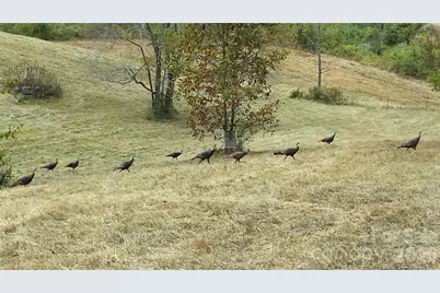 30 Morning Glory Lane, Weaverville, NC 28787 - Photo 36