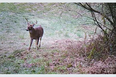 30 Morning Glory Lane, Weaverville, NC 28787 - Photo 38