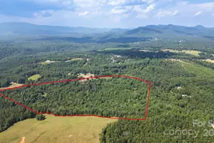 781 Freemantown Rd, Rutherfordton, NC 28139 - Photo 40