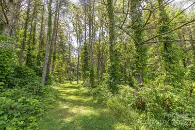 160 McLean Road, Weaverville, NC 28787 - Photo 22