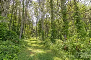 160 McLean Rd, Weaverville, NC 28787 - Photo 22