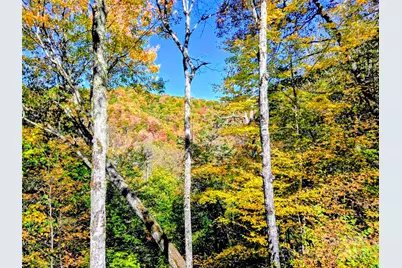 1158 Plott Balsam Road, Maggie Valley, NC 28751 - Photo 2