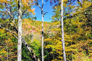 1158 Plott Balsam Rd, Maggie Valley, NC 28751 - Photo 2