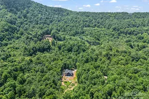 627 Cherry Hl, Mill Spring, NC 28756 - Photo 44