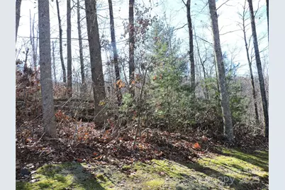 Lot15 Mountain Heritage Road, Burnsville, NC 28714 - Photo 42