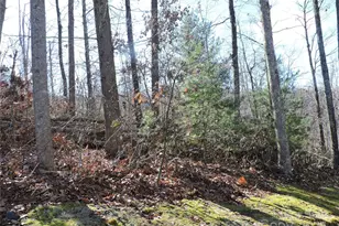 Lot15 Mountain Heritage Rd, Burnsville, NC 28714 - Photo 42