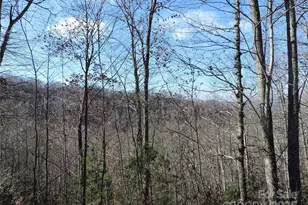 Lot15 Mountain Heritage Rd, Burnsville, NC 28714 - Photo 44