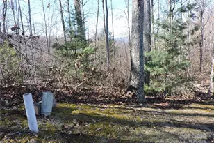 Lot15 Mountain Heritage Rd, Burnsville, NC 28714 - Photo 40