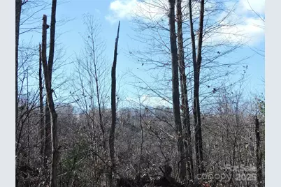 Lot15 Mountain Heritage Road, Burnsville, NC 28714 - Photo 36