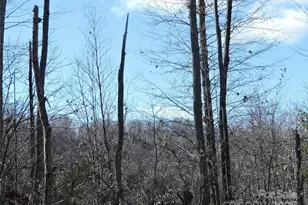 Lot15 Mountain Heritage Rd, Burnsville, NC 28714 - Photo 36