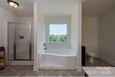 3048 Morning Glory Lane, Vale, NC 28168 - Photo 30